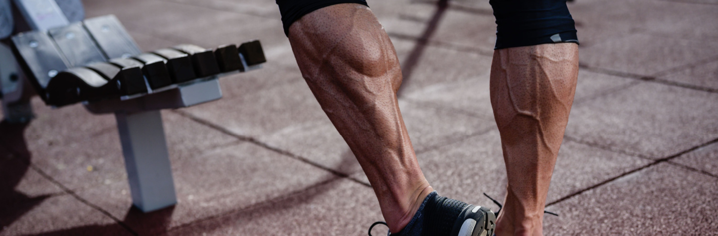 L&aelig;gtr&aelig;ning
L&aelig;g
L&aelig;g tr&aelig;ning
Calfs 
Calfs training